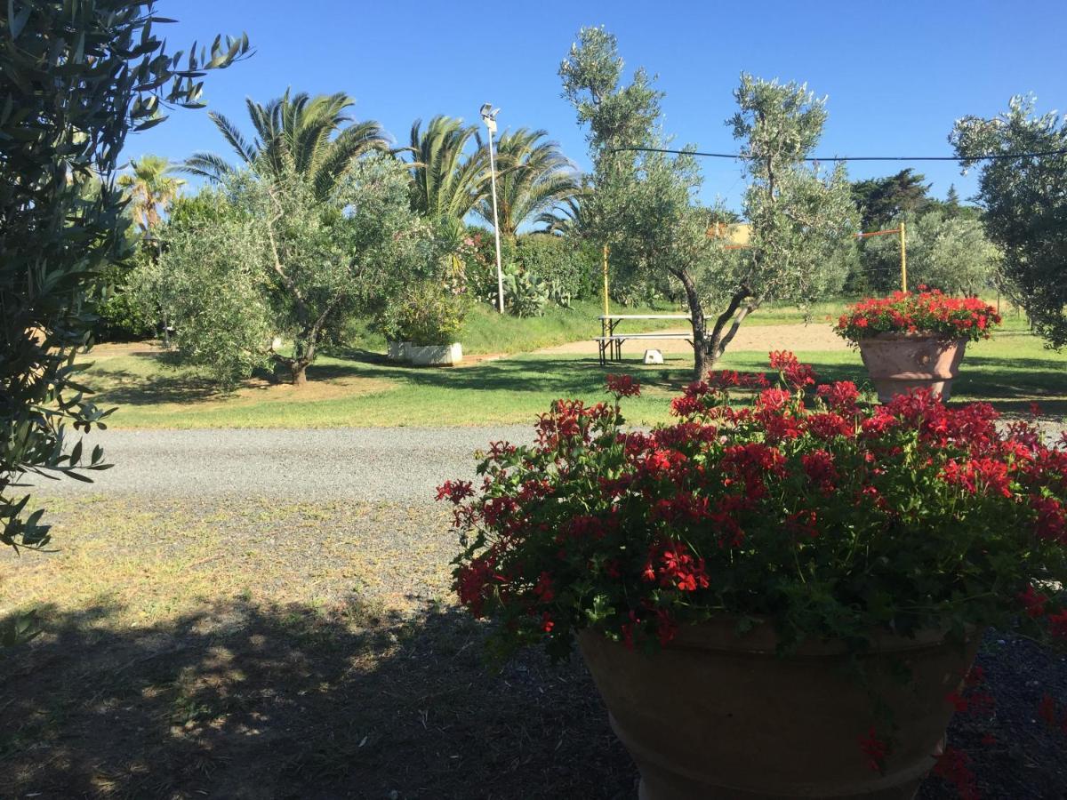 Le Macine Villa Cecina  Exterior photo